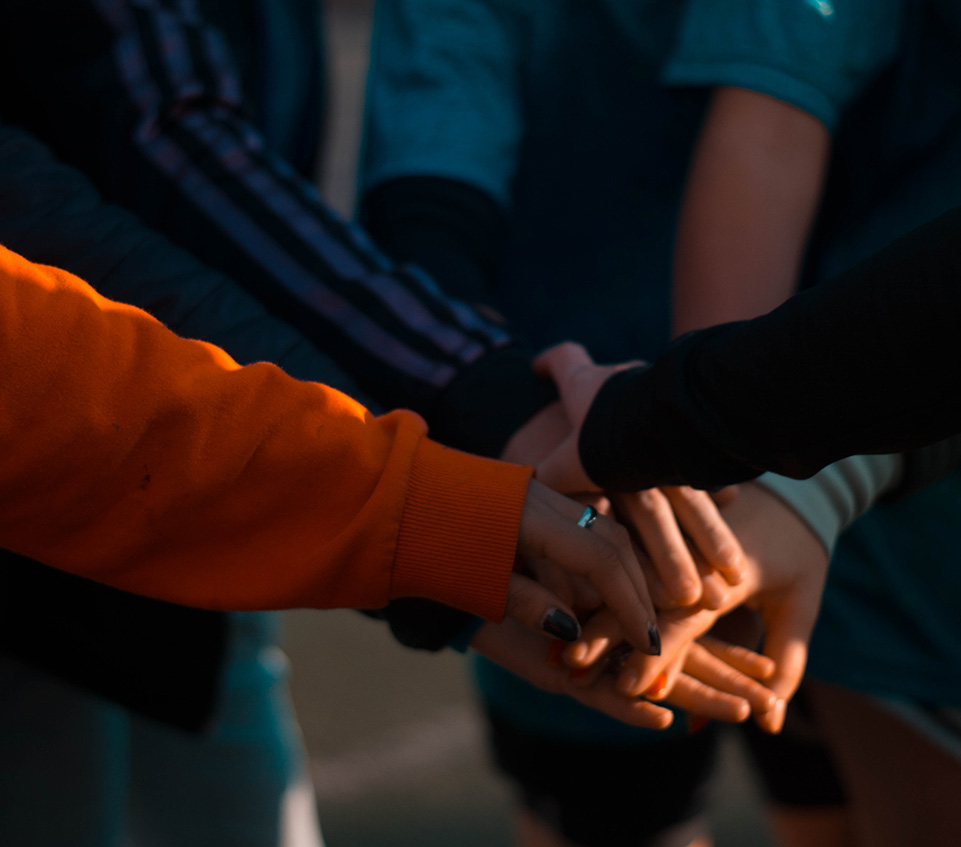 ��˾ϲ��2014�����ȫ��ս�Թ�Ӧ������